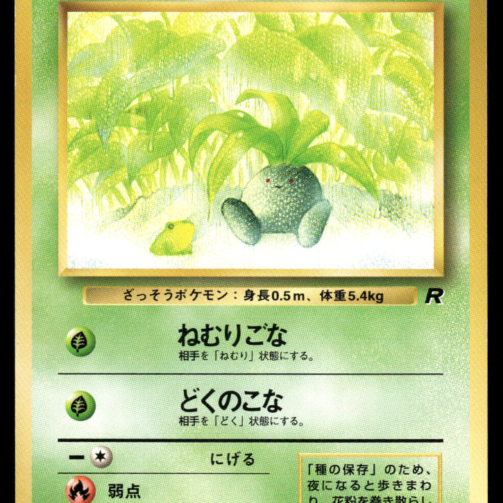 2024-1999-Oldback-0316F.jpg