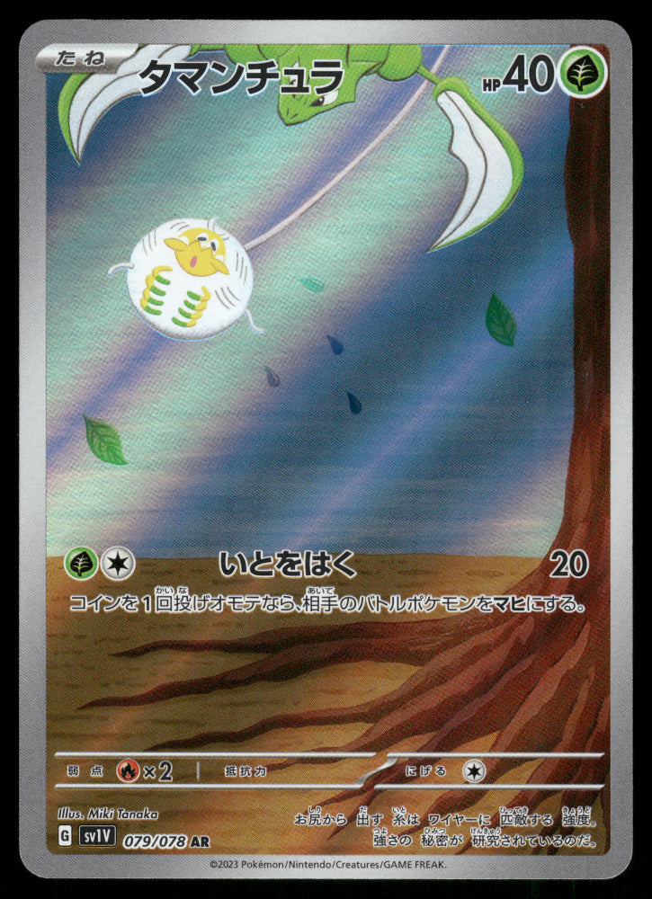 Tarountula AR 079/078 SV1V Violet ex