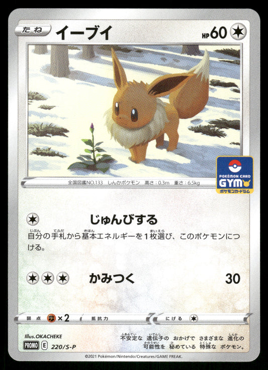Eevee 220/S-P Gym Promo