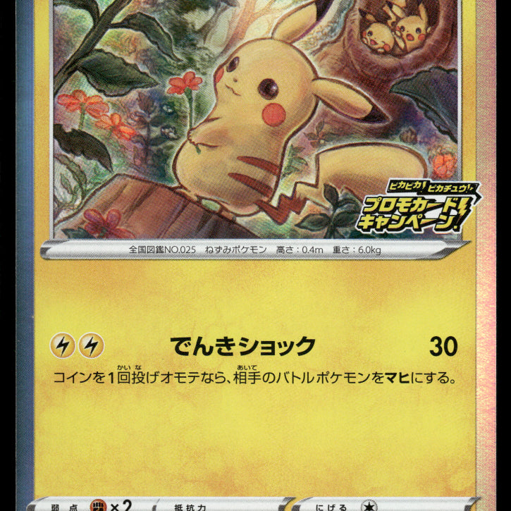 2024-Pokemon0817F.jpg