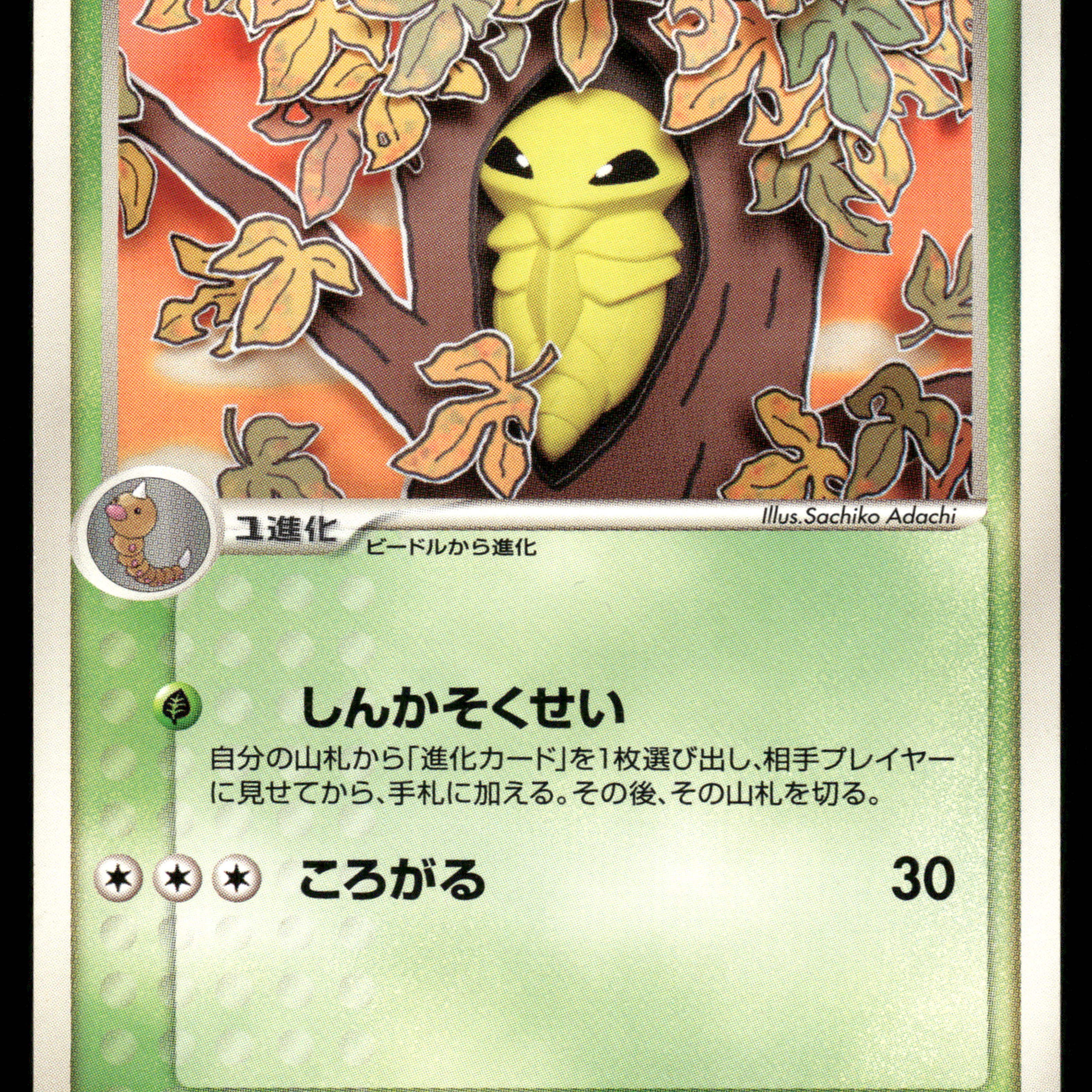 2024-Pokemon0955F.jpg