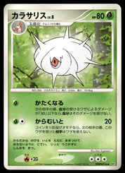 Silcoon DPBP#316 Unlimited