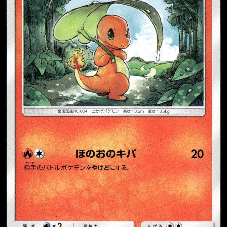 2024-Pokemon1074F.jpg