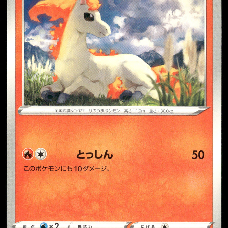 2024-Pokemon1125F.jpg