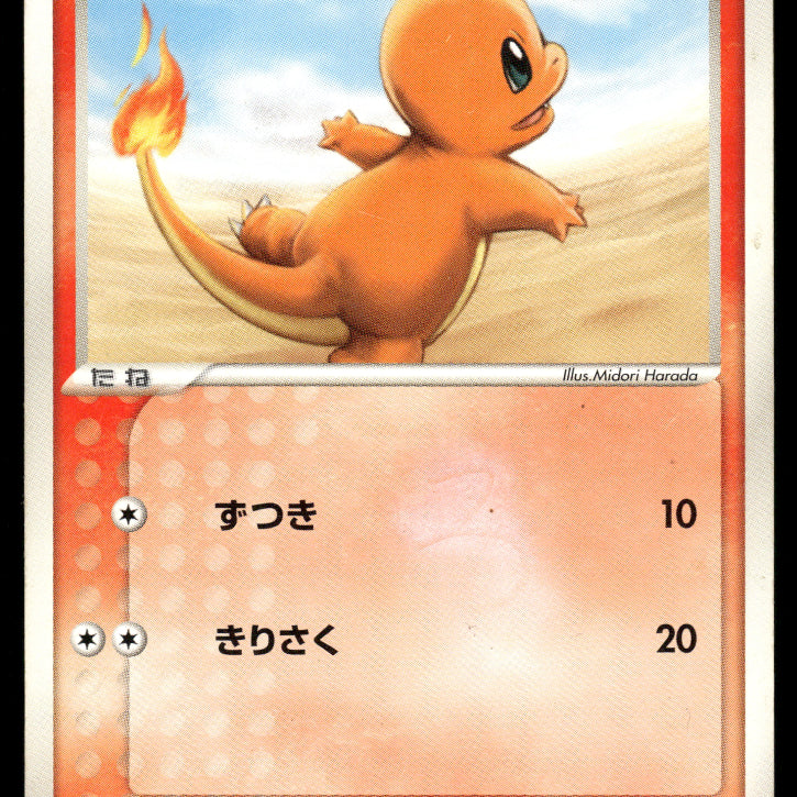 2024-Pokemon1126F.jpg