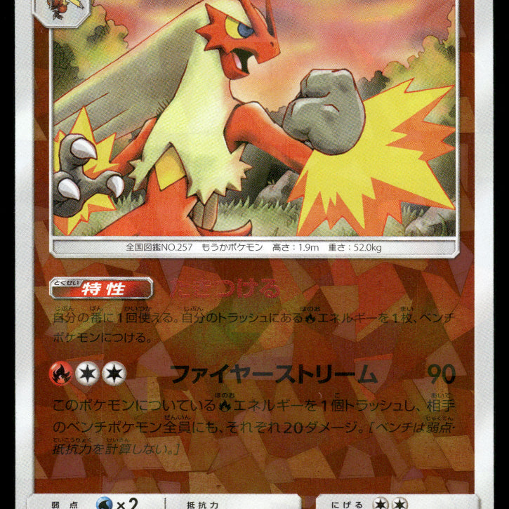 2024-Pokemon1133F.jpg