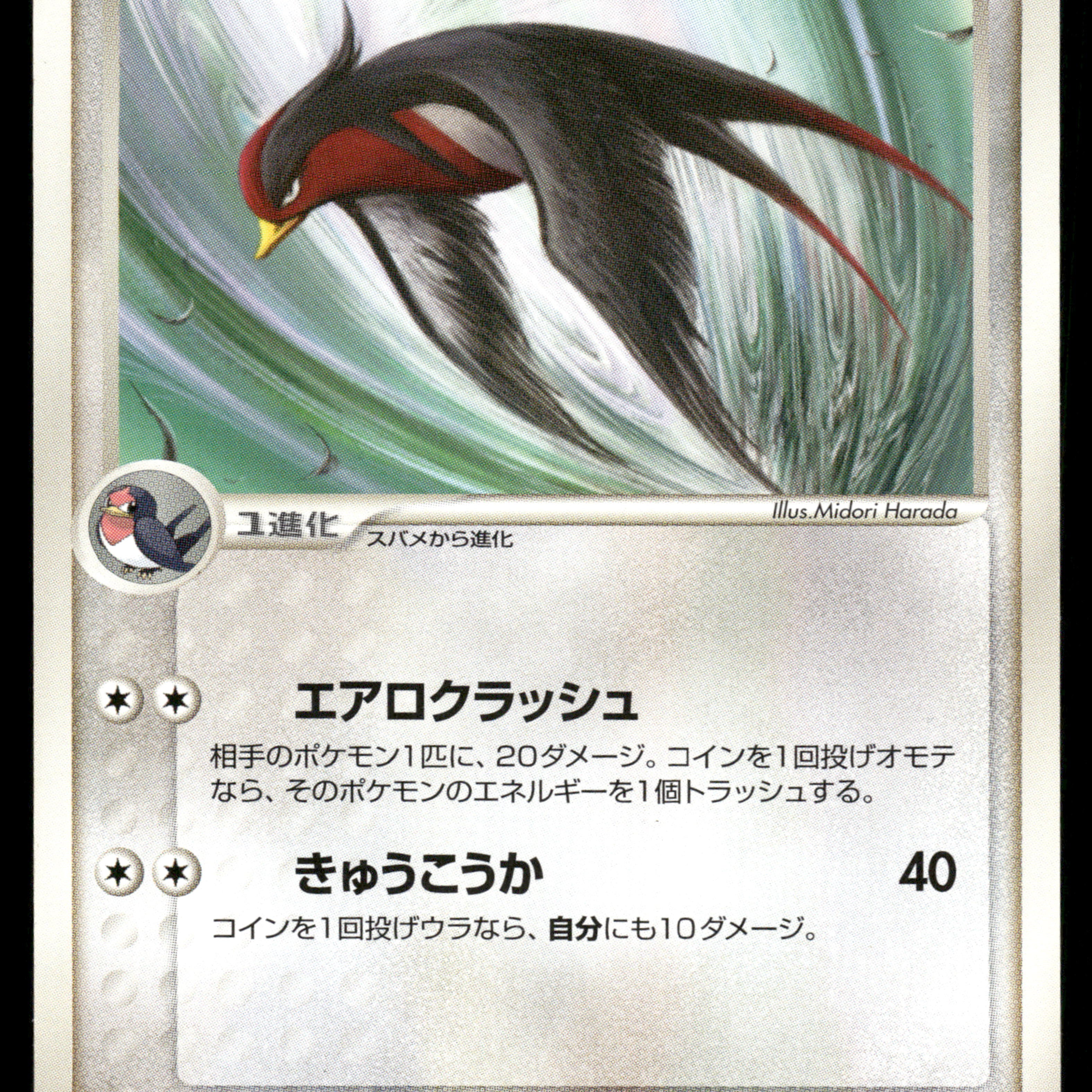 2024-Pokemon1318F.jpg