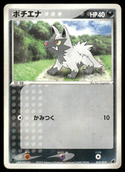 Poochyena 010/019 1st Edition