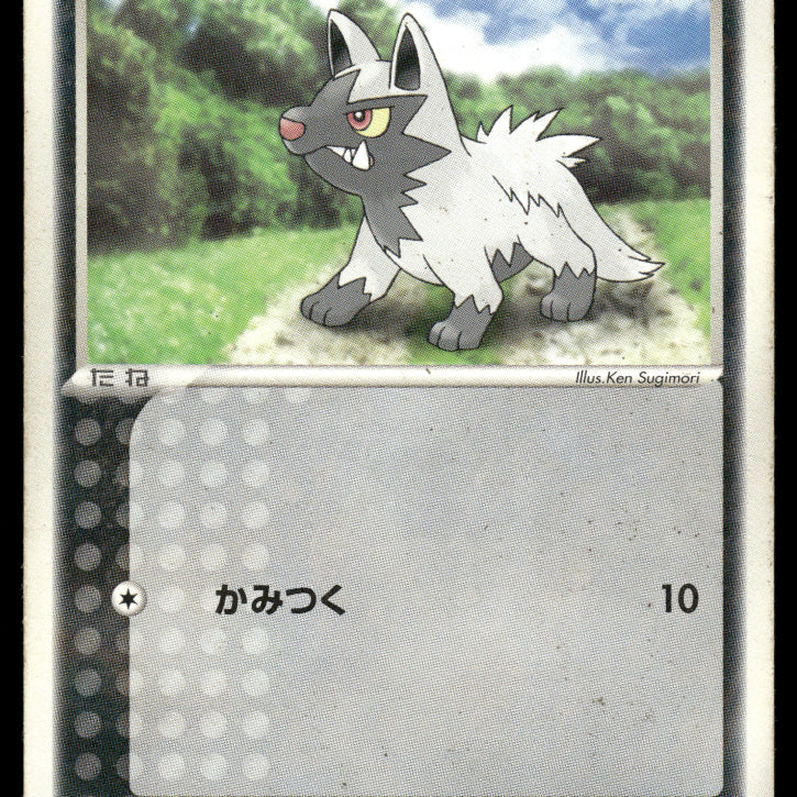 2024-Pokemon1378F.jpg