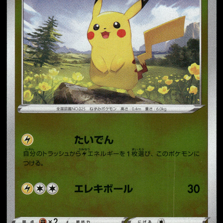 2024-Pokemon1488F.jpg