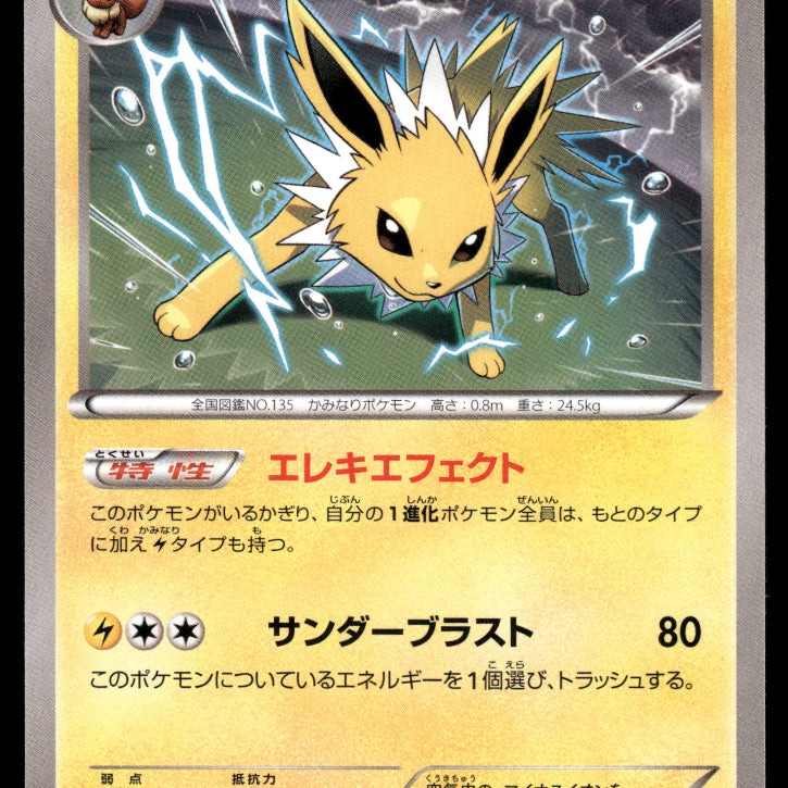 2024-Pokemon2446F.jpg