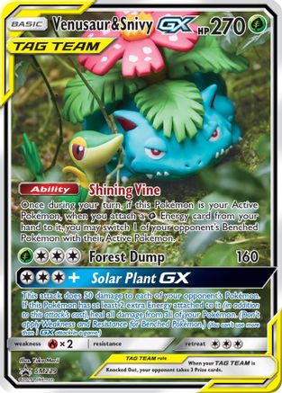 Venusaur & Snivy GX SM229 [SM Promos]  - Holofoil