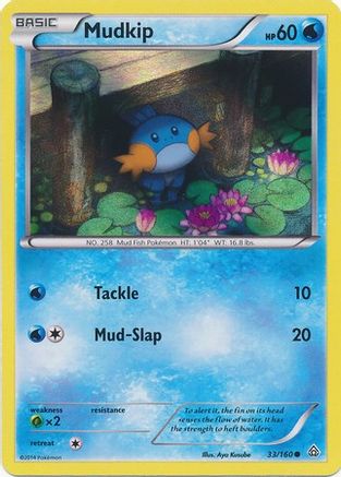Mudkip 033/160 [Miscellaneous Cards & Products]  - Holofoil