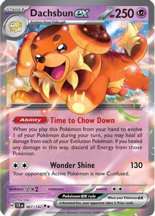 Dachsbun ex 067/142 [SV07 Stellar Crown]  - Holofoil
