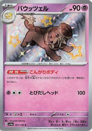 Dachsbun - 267/190 (267/190) [JP SV4a Shiny Treasure ex] Holofoil