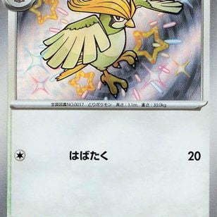 567706.jpg