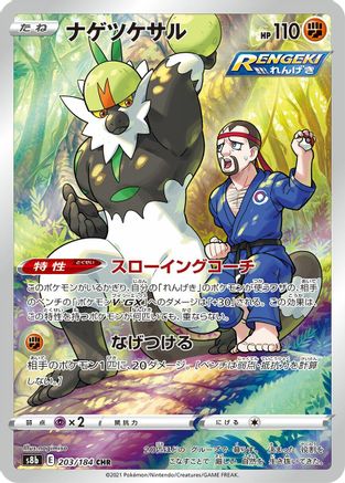 Passimian - 203/184 (203/184) [JP S8b VMAX Climax] Holofoil