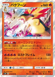Typhlosion 019/095