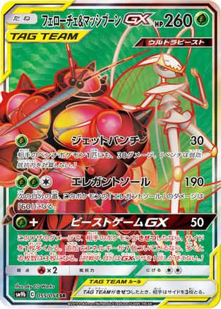 Pheromosa & Buzzwole - 055/054 (055/054) [JP SM9b Full Metal Wall] Holofoil