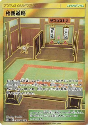 Martial Arts Dojo (079/064) [JP SM11a Remix Bout] Holofoil