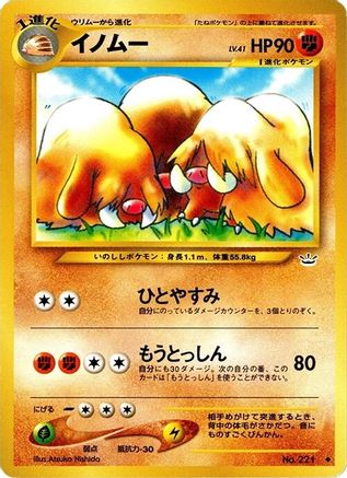 Piloswine no. 221