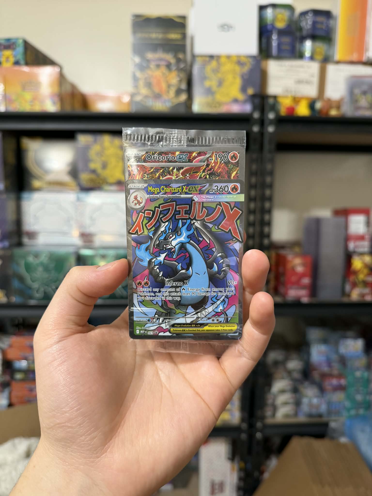 Mega Charizard X ex 023 & Oricorio ex 024 (Sealed)