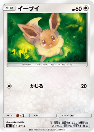 Eevee 016/038