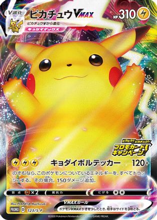 Pikachu VMAX - 123/S-P (123/S-P) [JP SP Sword  Shield Promos] Holofoil