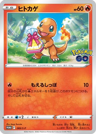 Charmander - 289/S-P (289/S-P) [JP SP Sword  Shield Promos]