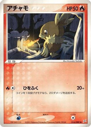 Torchic 016/080 1st Edition