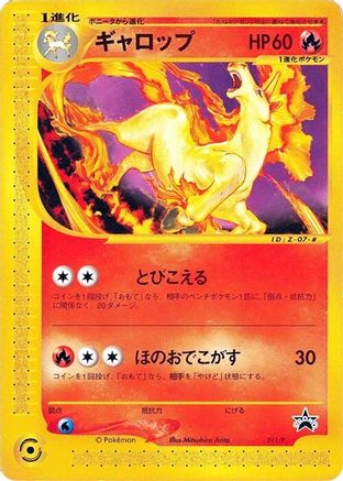 Rapidash 011/P