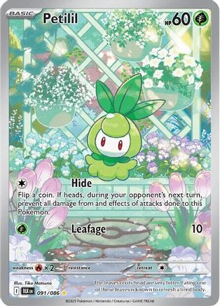 Petilil 091/086 [SV Black Bolt]  - Holofoil