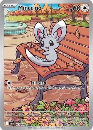 Minccino 152/086 [SV Black Bolt]  - Holofoil
