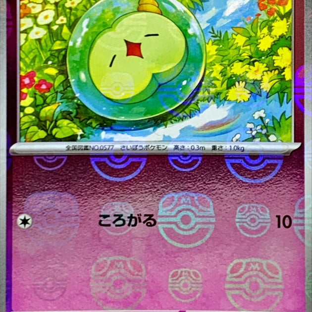 675453.jpg