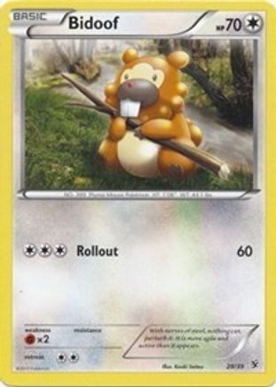Bidoof 029 [Kalos Starter Set]