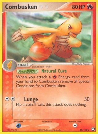 Combusken 029/108 [Power Keepers]  - Reverse Holofoil