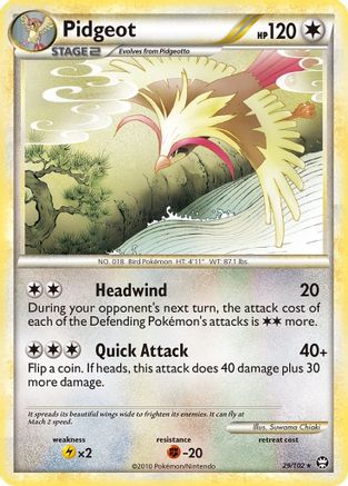 Pidgeot 029 [Triumphant]