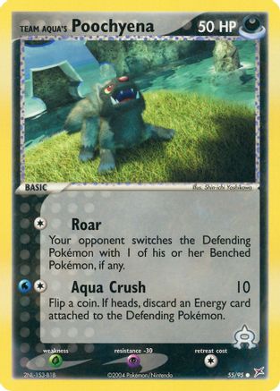 Team Aqua's Poochyena 055/95 [Team Magma vs Team Aqua]