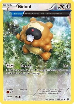 Bidoof (Alpha) 117/160 [XY  Primal Clash]  - Reverse Holofoil