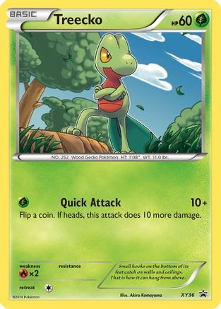Treecko XY36 [XY Promos]  - Holofoil