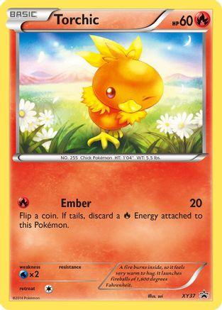 Torchic XY37 [XY Promos]  - Holofoil
