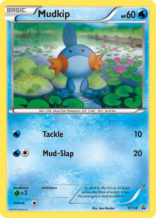 Mudkip XY38 [XY Promos]  - Holofoil